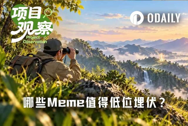 这波Meme,哪些值得低位埋伏?