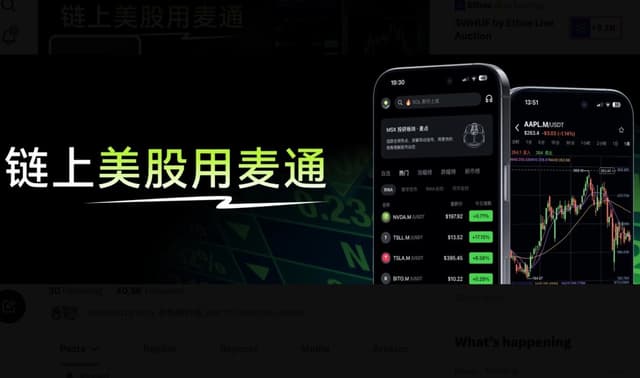 MSX美股每日观察:Tesla Q3财报落地:毛利率回升、现金流转正,储能收入环比下降
